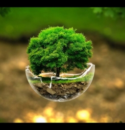 hinh-nen-dep-cho-may-tinh-nature-wallpapers-nature-wallpaper-latest-beautiful-wallpapers