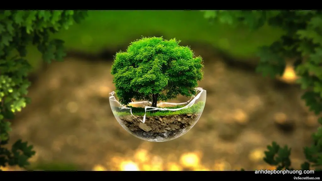 hinh-nen-dep-cho-may-tinh-nature-wallpapers-nature-wallpaper-latest-beautiful-wallpapers