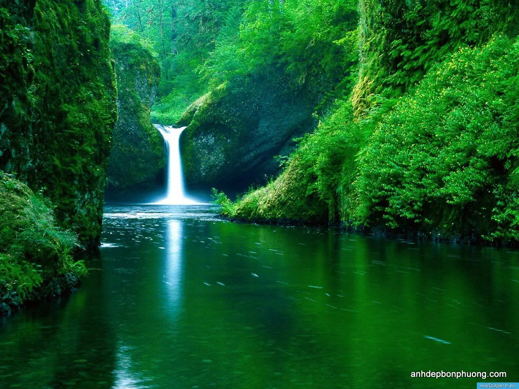 hinh-nen-desktop-nature-wallpaper-hd-www-wallpaper