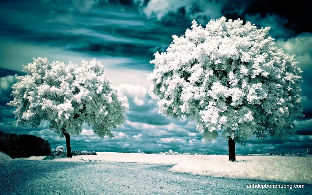 hinh-nen-galaxy-s7-winter-landscape-nature-wallpapers