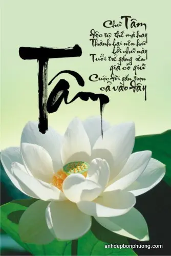 hinh-nen-oppo-thu-phap-chu-tam-chuc-mung-nam-moi-31