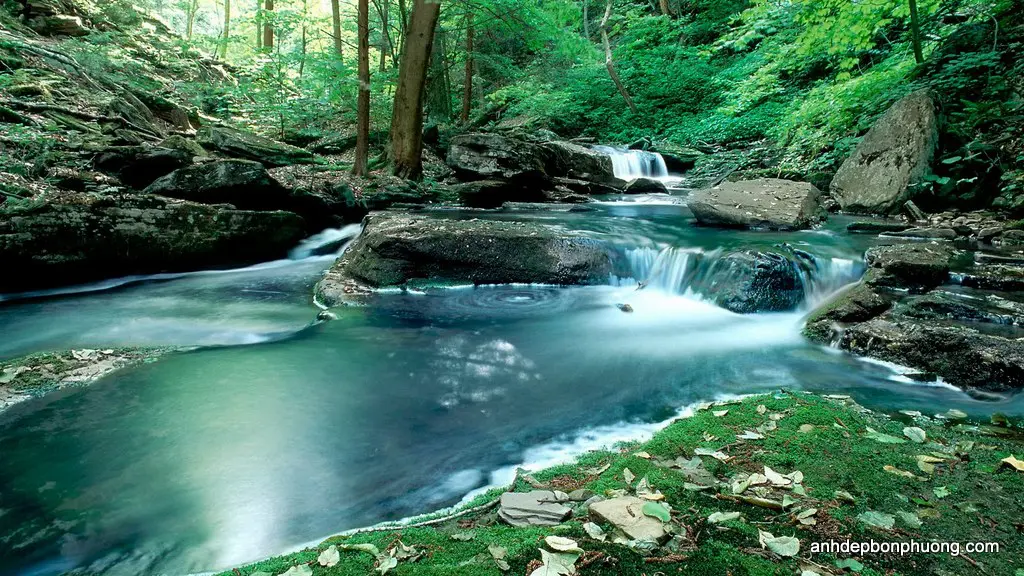 hinh-nen-thien-nhien-nature-desktop-wallpaper