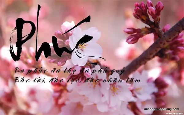 hinh-nen-thu-phap-chu-phuc-voi-cau-doi-hay-chuc-tet-7