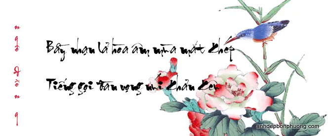 hinh-nen-thu-phap-hay-ve-tinh-yeu-chuc-tet-22