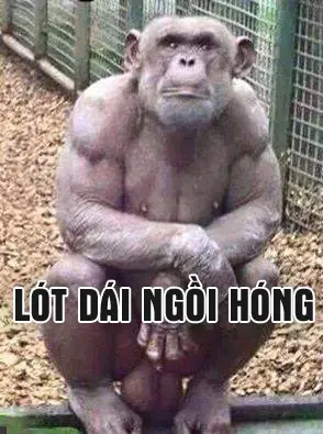 anh-che-facebook-hai-huoc-bua-vui-nhon-19