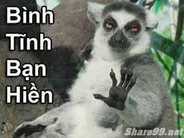 anh-che-facebook-hai-huoc-bua-vui-nhon-35
