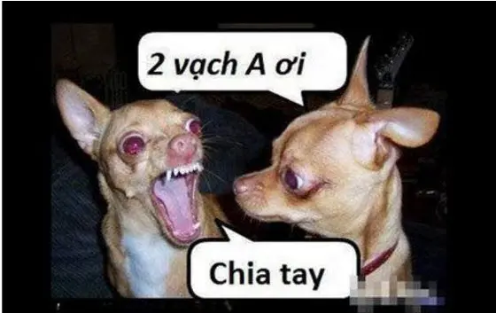 anh-che-facebook-hai-huoc-bua-vui-nhon-42