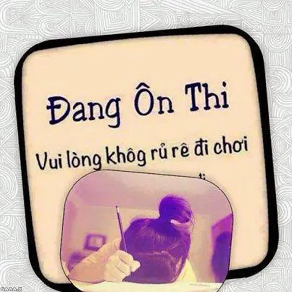 Chết cười chùm ảnh chế mùa thi đại học