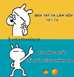 Ảnh chế thỏ Tuzki vui nhộn