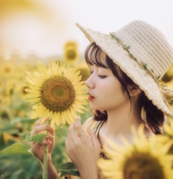 Ảnh cô gái Hoa Mặt Trời đẹp như mơ