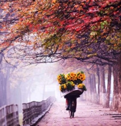Top 10 hình ảnh mùa thu Hà Nội đẹp