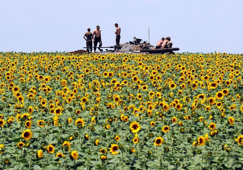 canh-dong-hoa-huong-duong-tuyet-dep-sunflowers-field-20