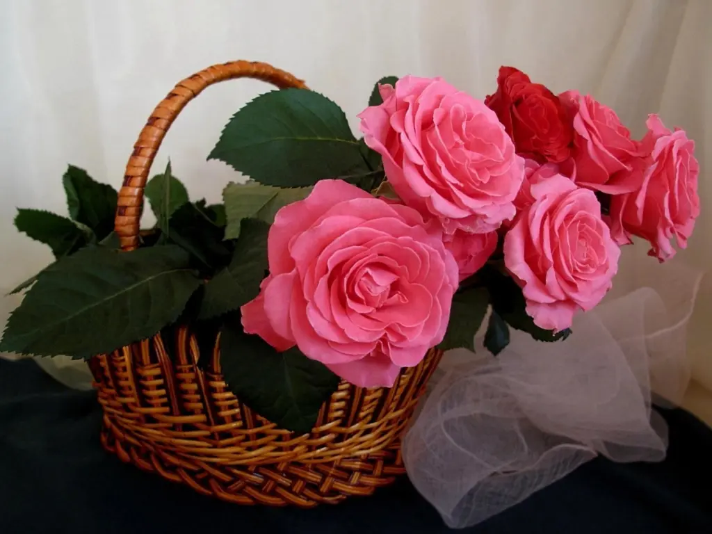 gio-hoa-hong-dep-lam-qua-8-3-07