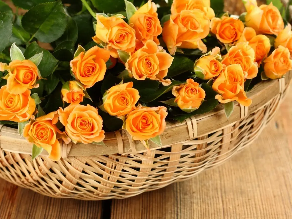 gio-hoa-hong-dep-lam-qua-8-3-20