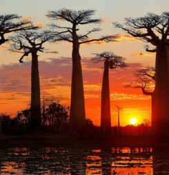 Hình ảnh hoàng hôn đẹp