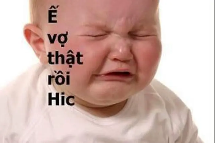 Những hình ảnh buồn cười vui nhộn nhất quả đất