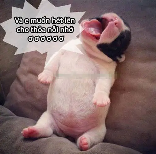 hinh-anh-buon-cuoi-vui-nhon-06