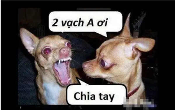 hinh-anh-buon-cuoi-vui-nhon-07