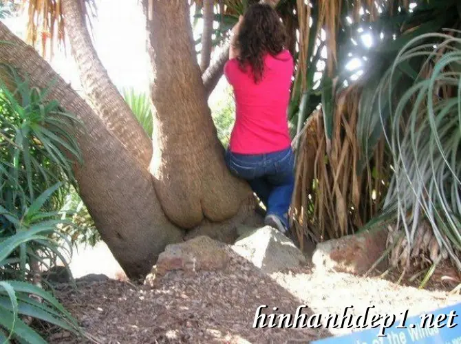 hinh-anh-buon-cuoi-vui-nhon-11