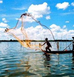 Hình ảnh đẹp về cuộc sống