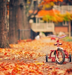 Ảnh đẹp mùa thu vàng lãng mạng