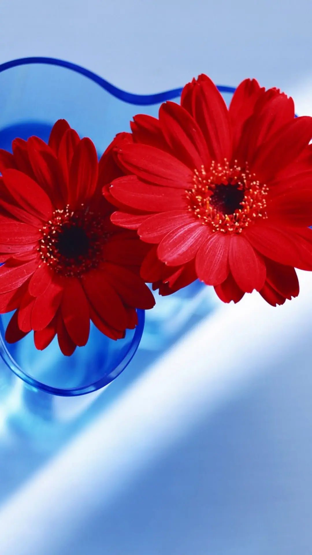 hinh-nen-hoa-dep-dien-thoai-samsung-sony-htc-02