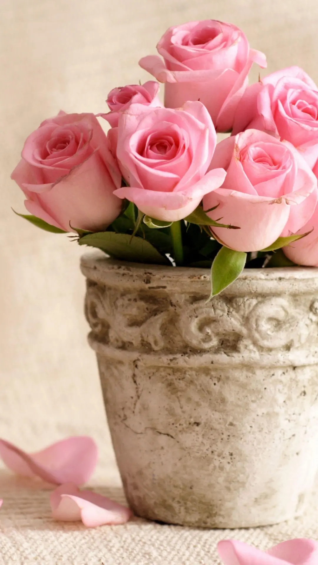 hinh-nen-hoa-dep-dien-thoai-samsung-sony-htc-03