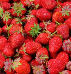 Hình nền hoa quả trái cây đẹp nhất 2016