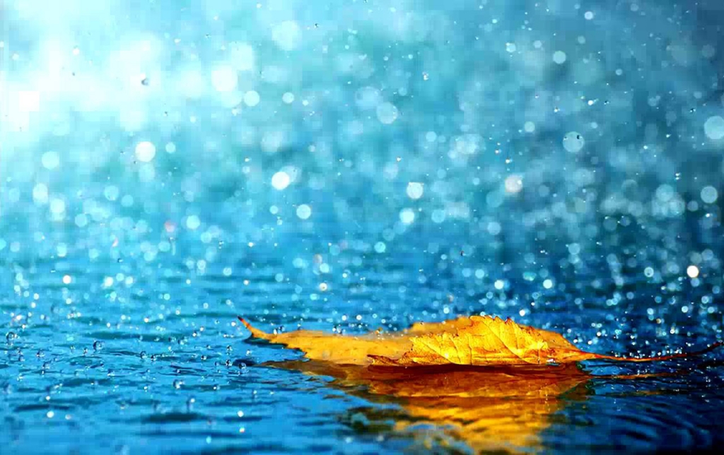 hinh-nen-mua-dep-lang-mang-rain-12