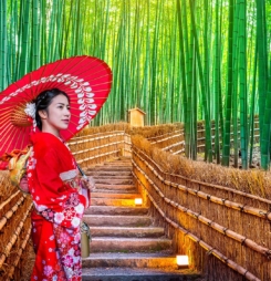 Hình nền rừng trúc Sagano Arashiyama Kyoto tuyệt đẹp