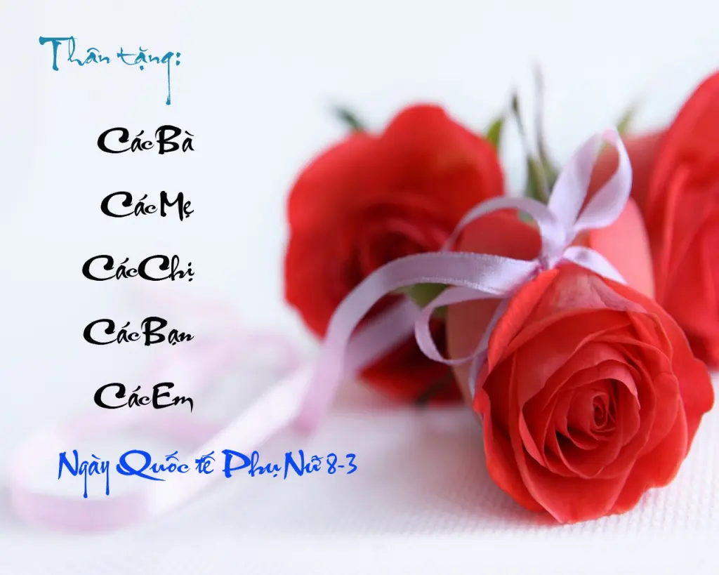 hoa-hong-8-3-quoc-te-phu-nu-02