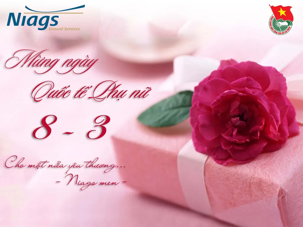 hoa-hong-8-3-quoc-te-phu-nu-03