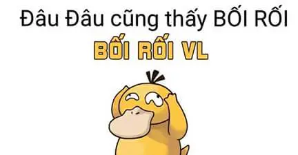 vit-boi-roi-psyduck-p3-02