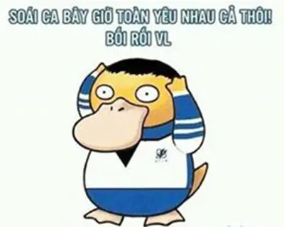 vit-boi-roi-psyduck-p3-05-1