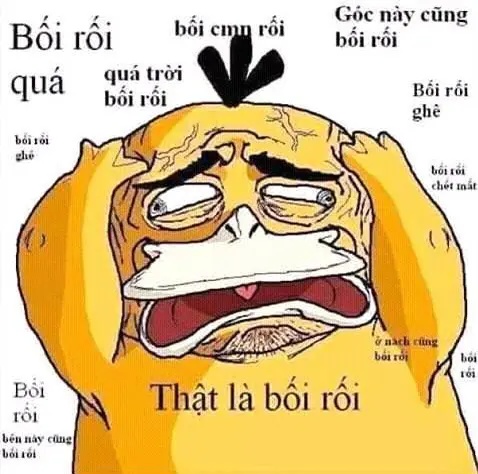 vit-boi-roi-psyduck-p3-10