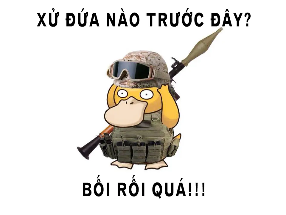 vit-boi-roi-psyduck-p3